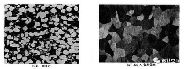 鈦及鈦合金金相術語及圖譜——α相詳解